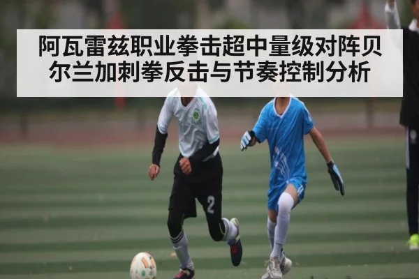 阿瓦雷兹职业拳击超中量级对阵贝尔兰加刺拳反击与节奏控制分析